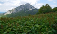 Malá Fatra
