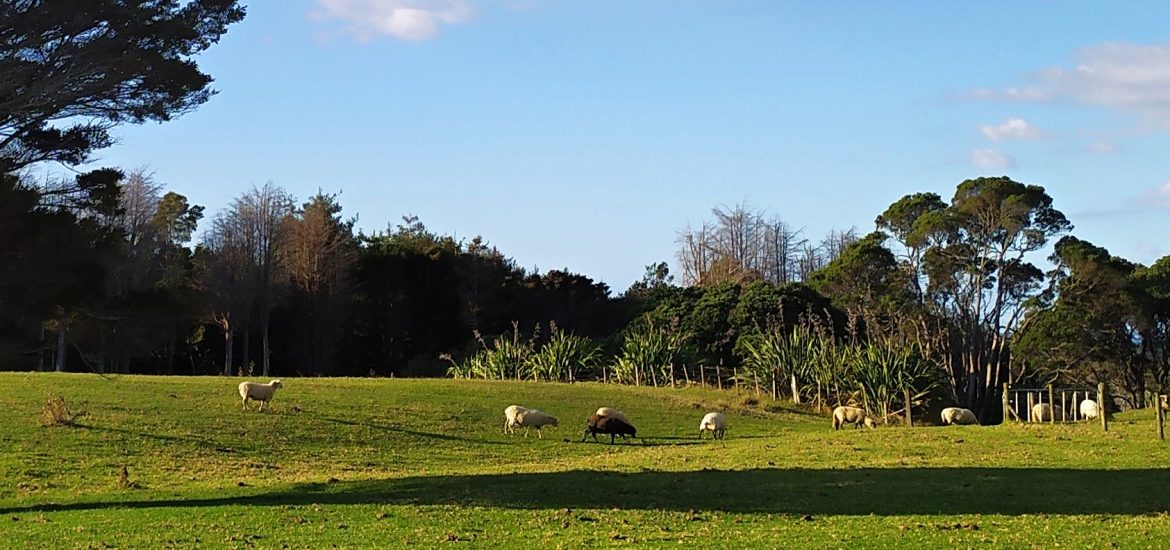 Nový Zéland